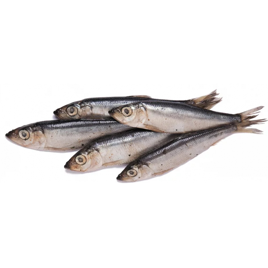  Балтийский шпрот (килька балтийская) 8-12см | 10кг купить в интернет-магазине Санта&Кэш