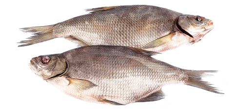  Лещ вяленый 4кг купить в интернет-магазине Санта&Кэш