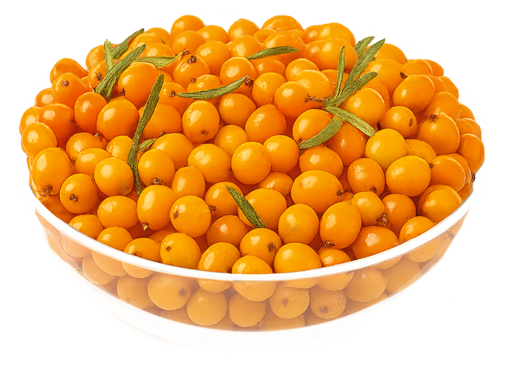 Живи Здорово Облепиха дикорастущая быстрозамороженная 10кг купить в интернет-магазине Санта&Кэш