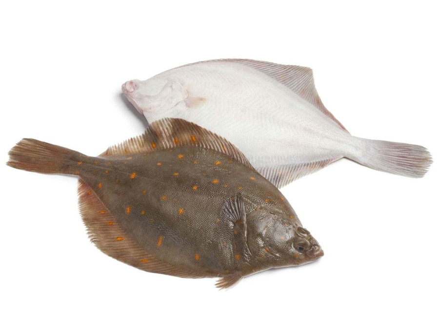  Камбала северная двухлинейная 0,3-0,4кг сорт1 упак 1кг | 10кг купить в интернет-магазине Санта&Кэш